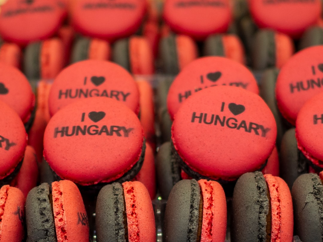 Hungary Unveils Key Details of €1 Billion Loan from China Amid Political Transition